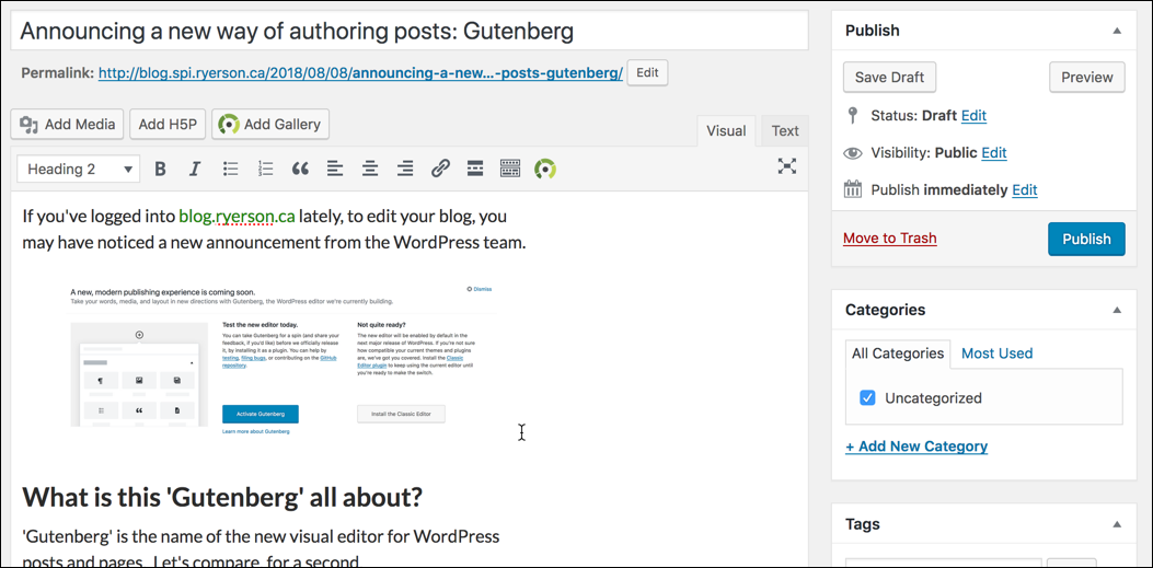 This is a screenshot of the Classic WordPress post editor.